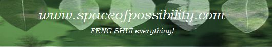 Another Feng Shui friend!