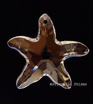 Swarovski's rare and discontinued crystal STARFISH goes with Swarovski's crystal SHELL