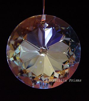 Egyptian Starflower is a dazzling aurora prism delight!